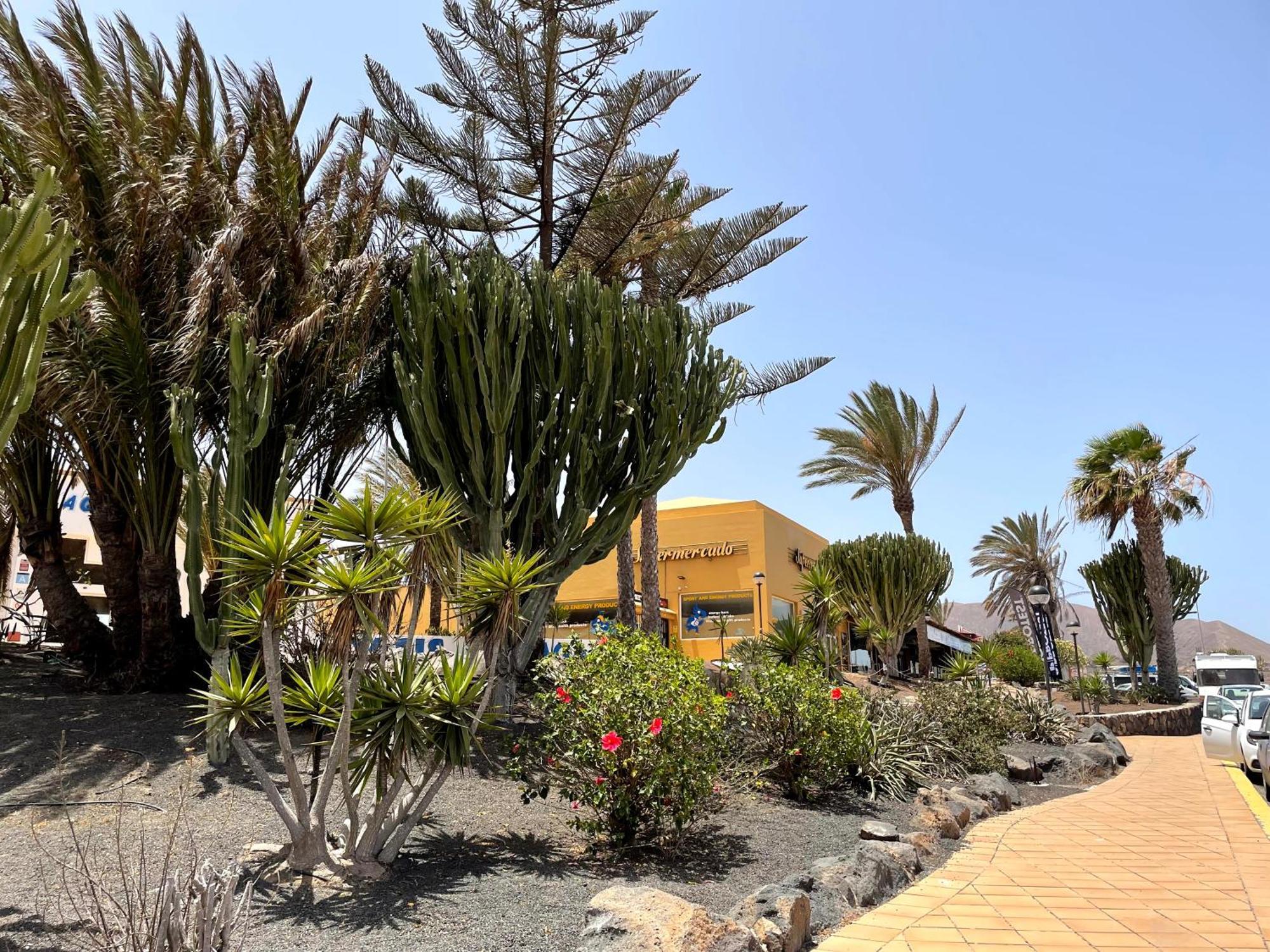 Casa Relax Papagayo Corralejo Irent Fuerteventura Daire Dış mekan fotoğraf